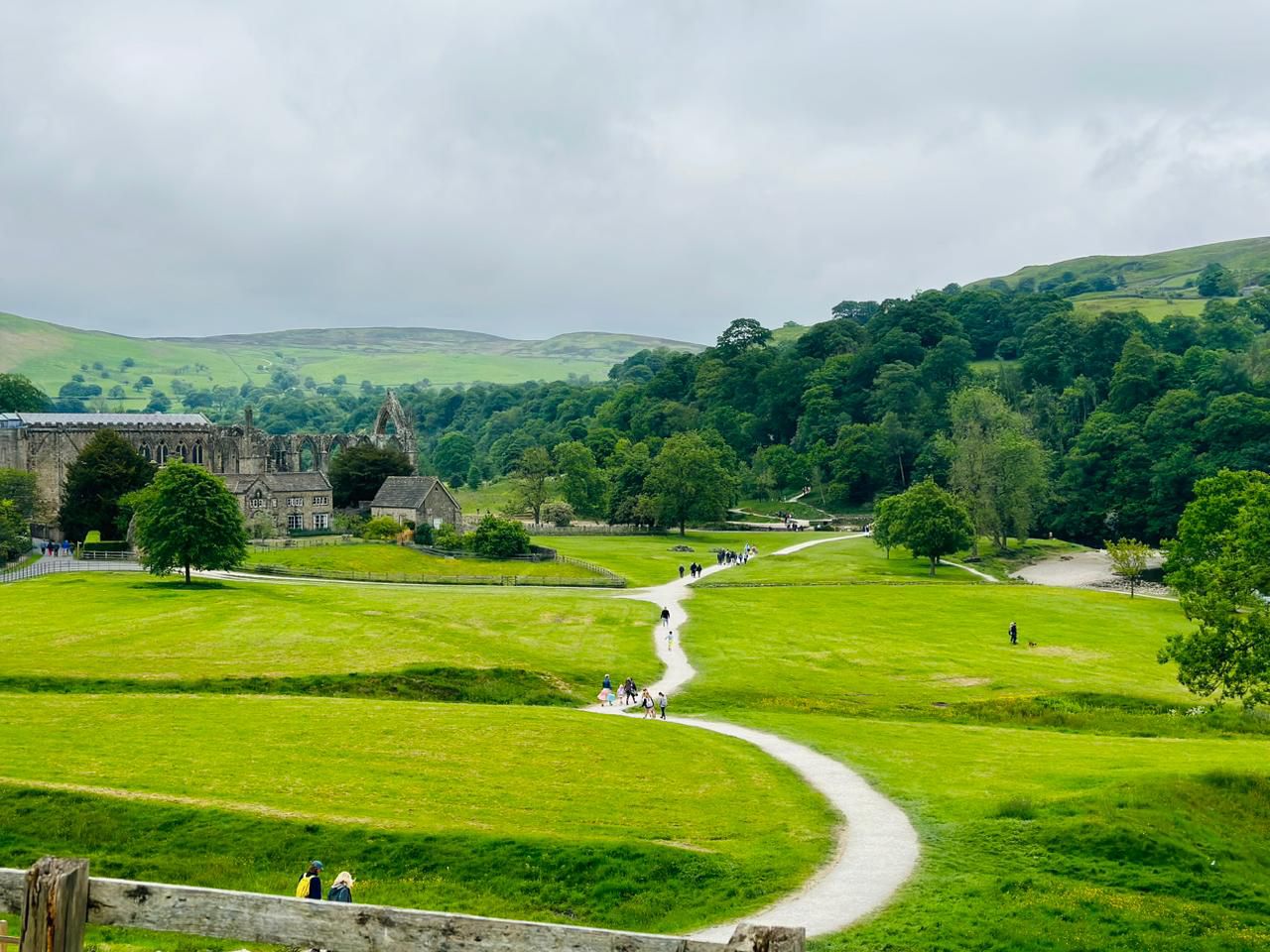 WhatsApp Image 2026-01-28 at 11.29.22